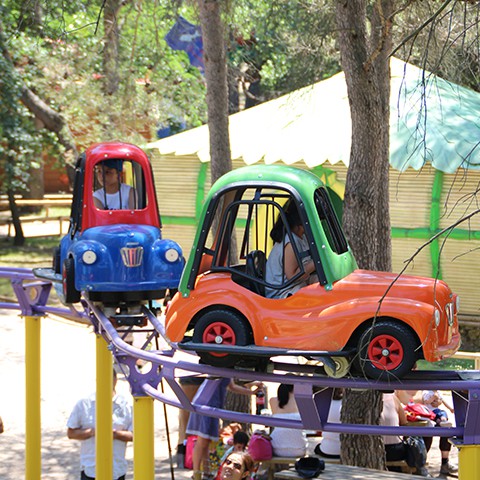 Monorail with train